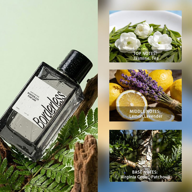 럭셔리 보더리스 남성 향수 클래식 라벤더 패출리 아로마 - Perfume Lavender Fragrance 리뷰 및 가격